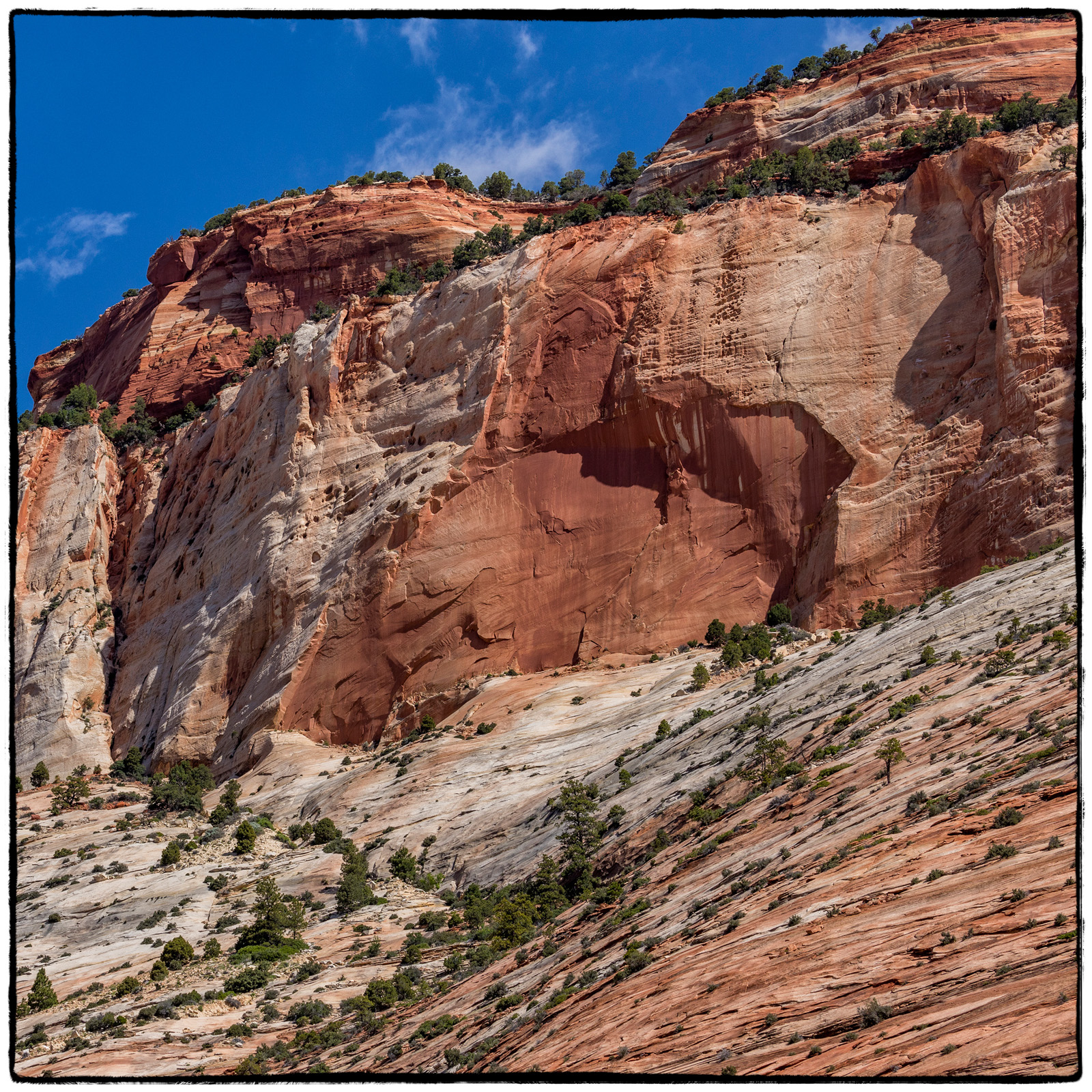 2019 Zion National Park, Utah