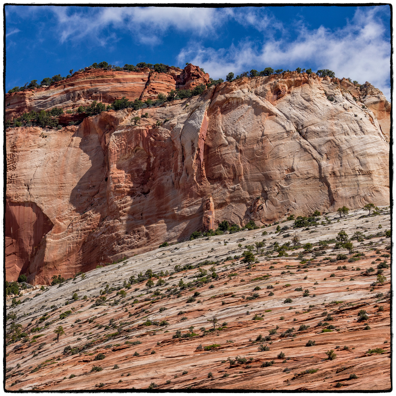 2019 Zion National Park, Utah