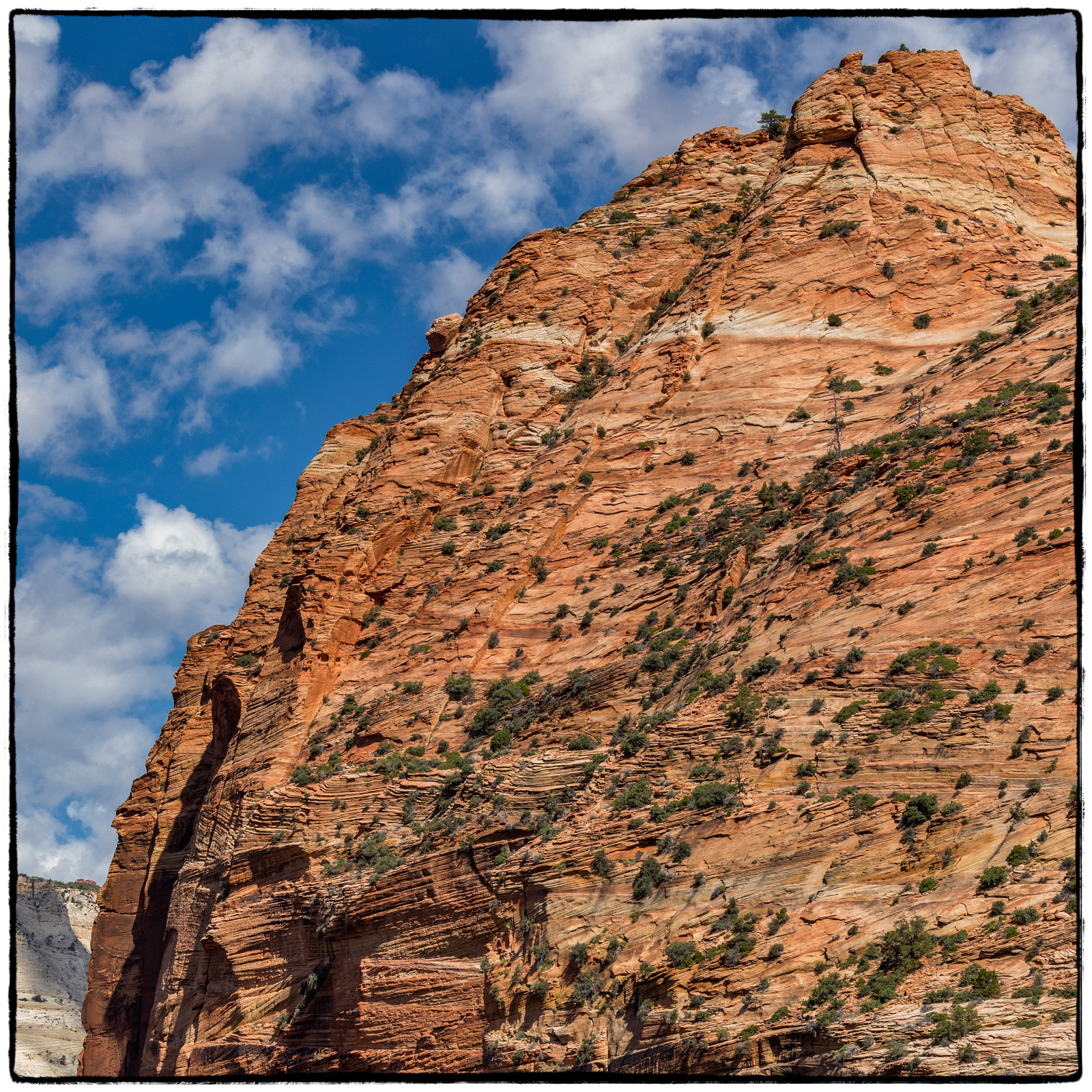 2019 Zion National Park, Utah