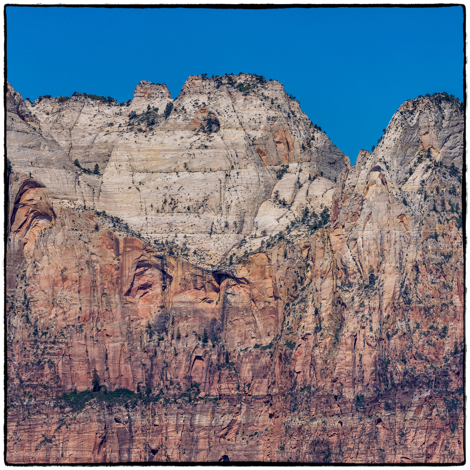 2019 Zion National Park, Utah