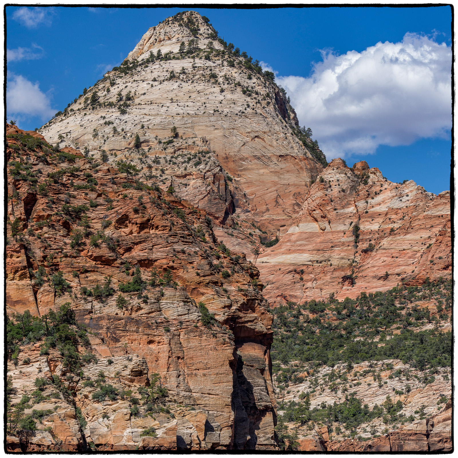2019 Zion National Park, Utah