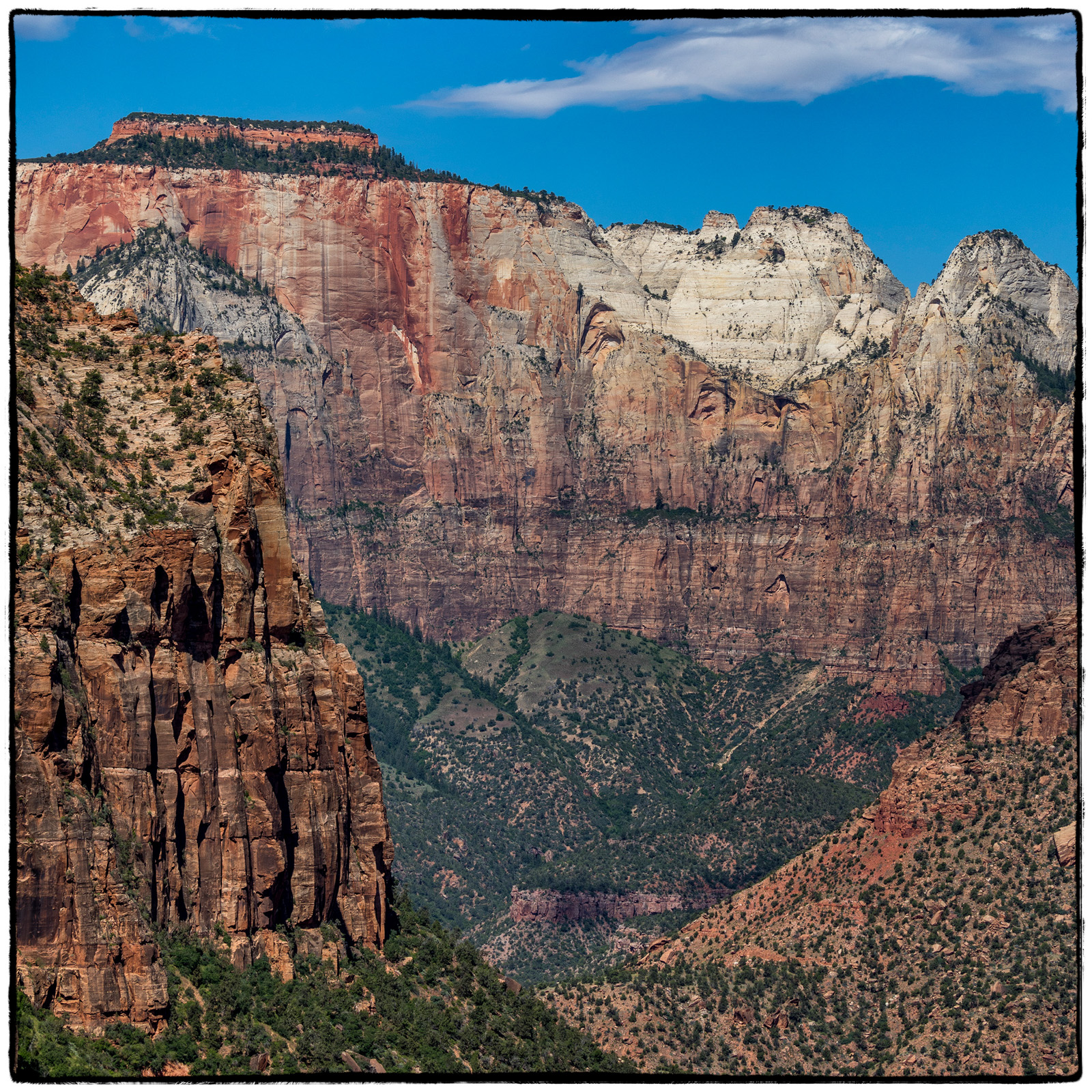 2019 Zion National Park, Utah