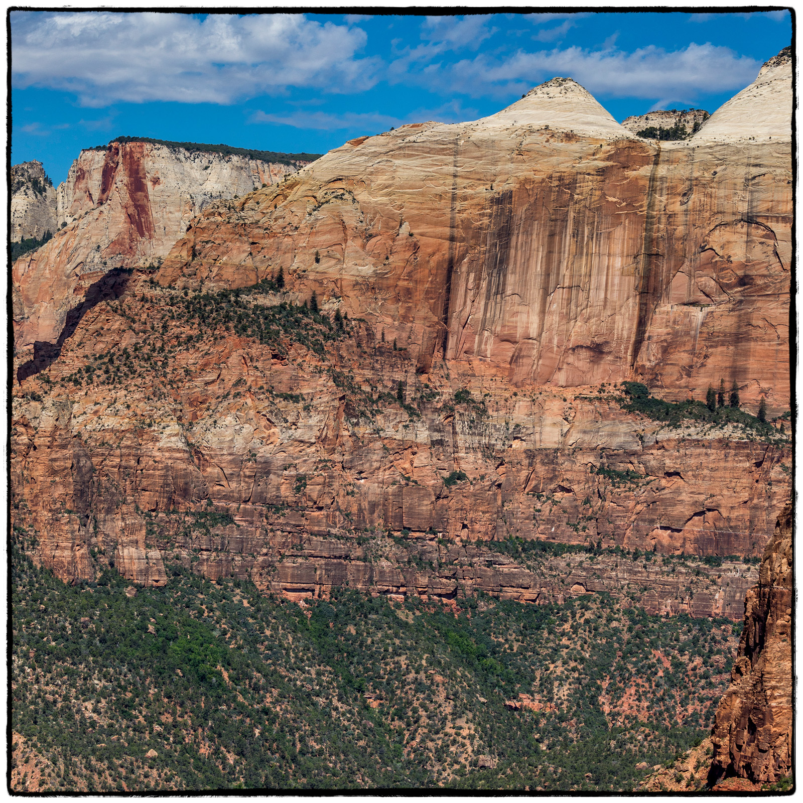 2019 Zion National Park, Utah