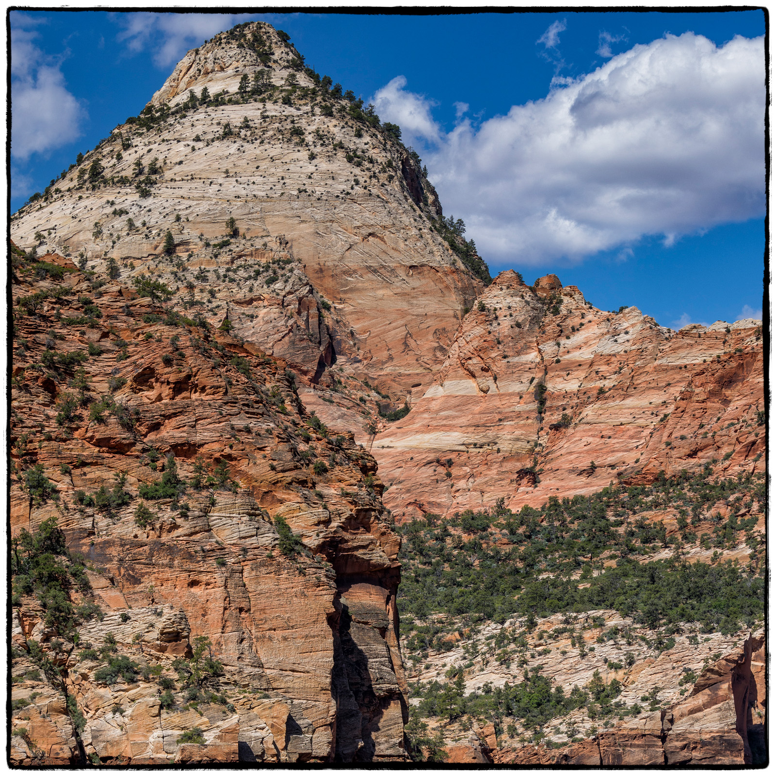 2019 Zion National Park, Utah