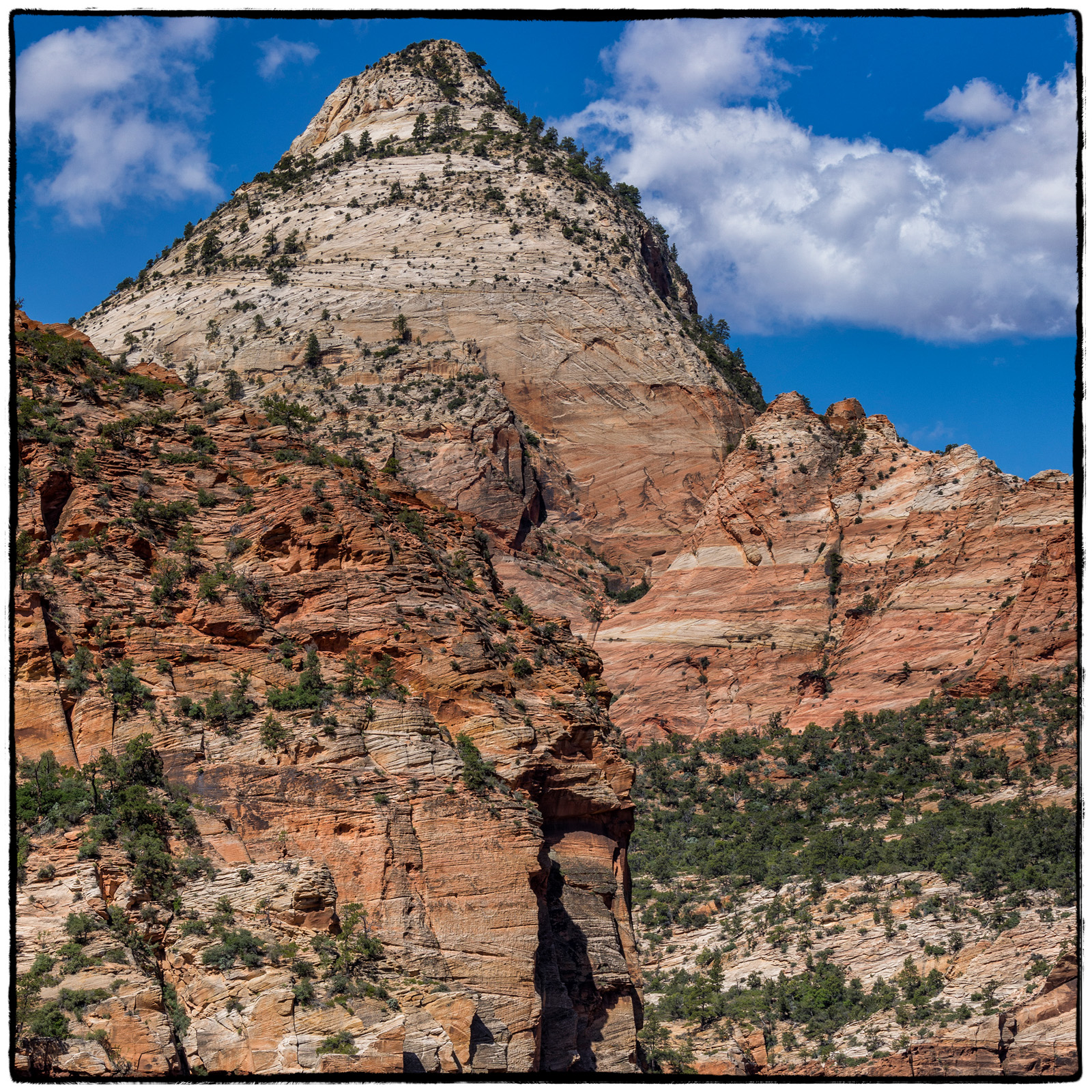 2019 Zion National Park, Utah