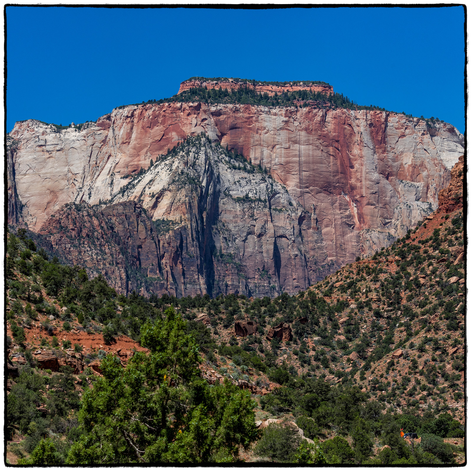 2019 Zion National Park, Utah