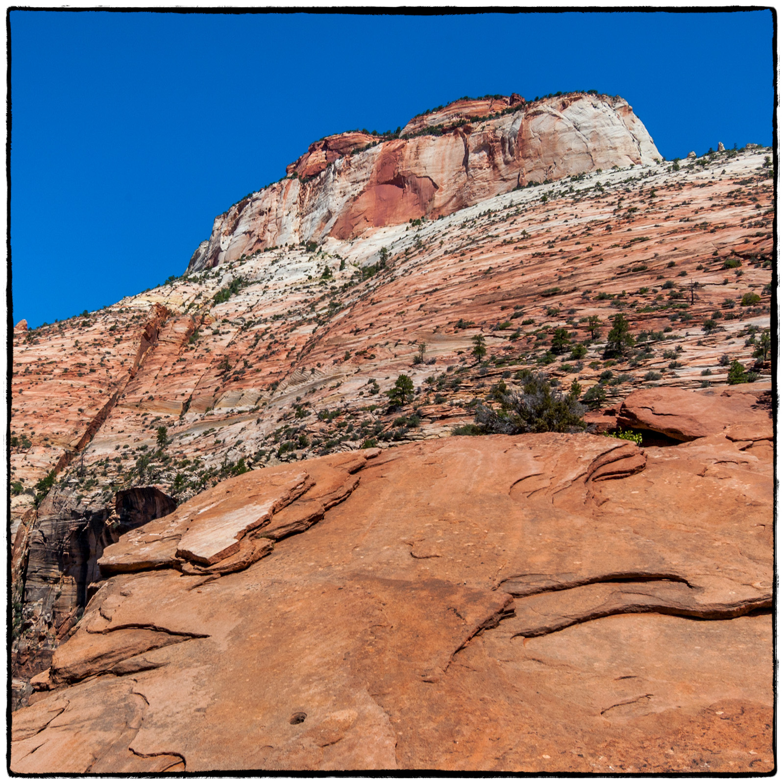 2005 Zion National Park, Utah