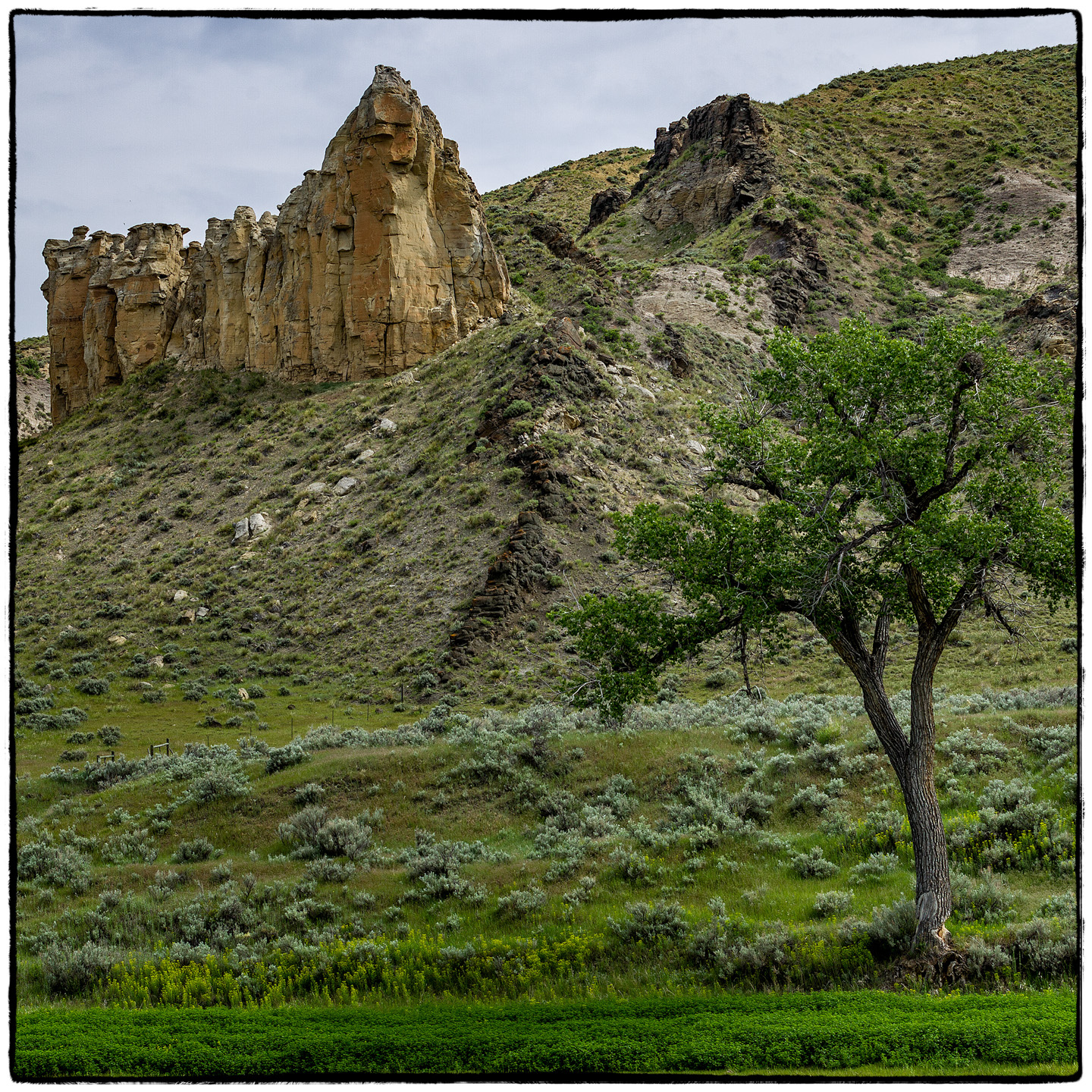 Upper Missouri River, Montana