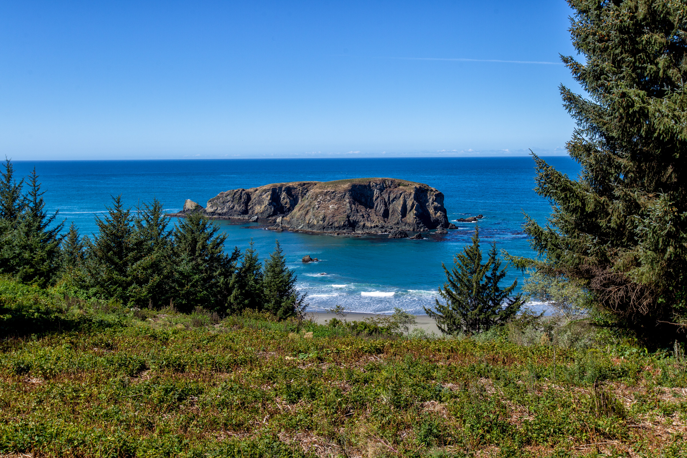 Oregon Coast