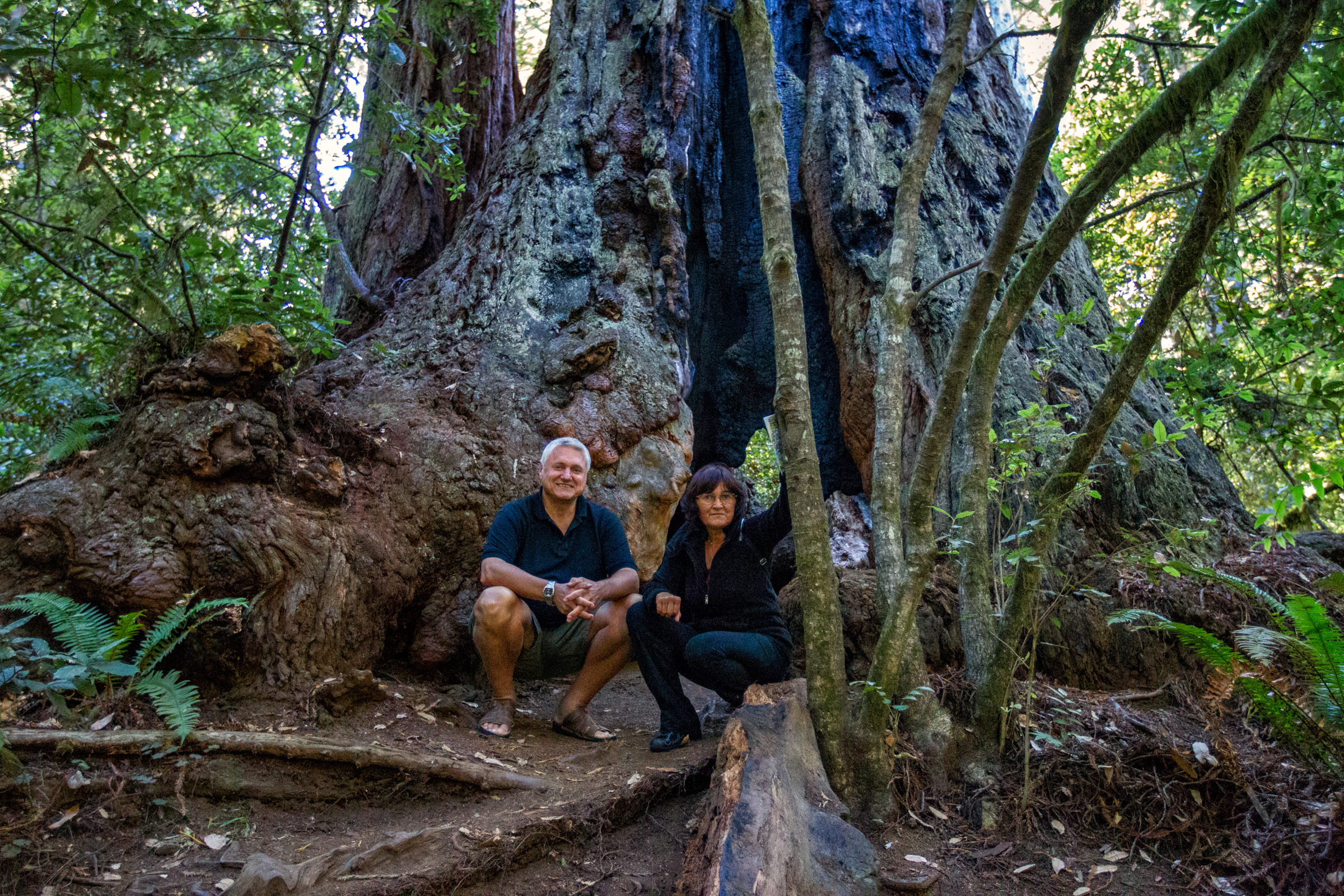 Prairie Creek Redwoods, Oregon