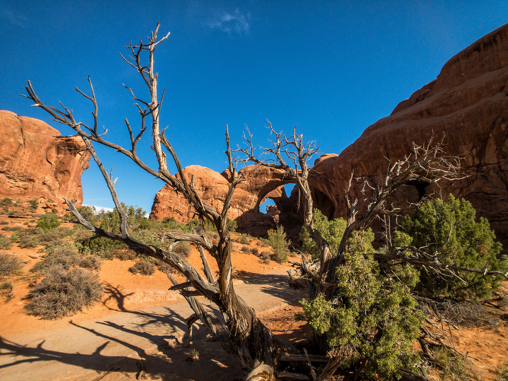 Arches NP, Utah
