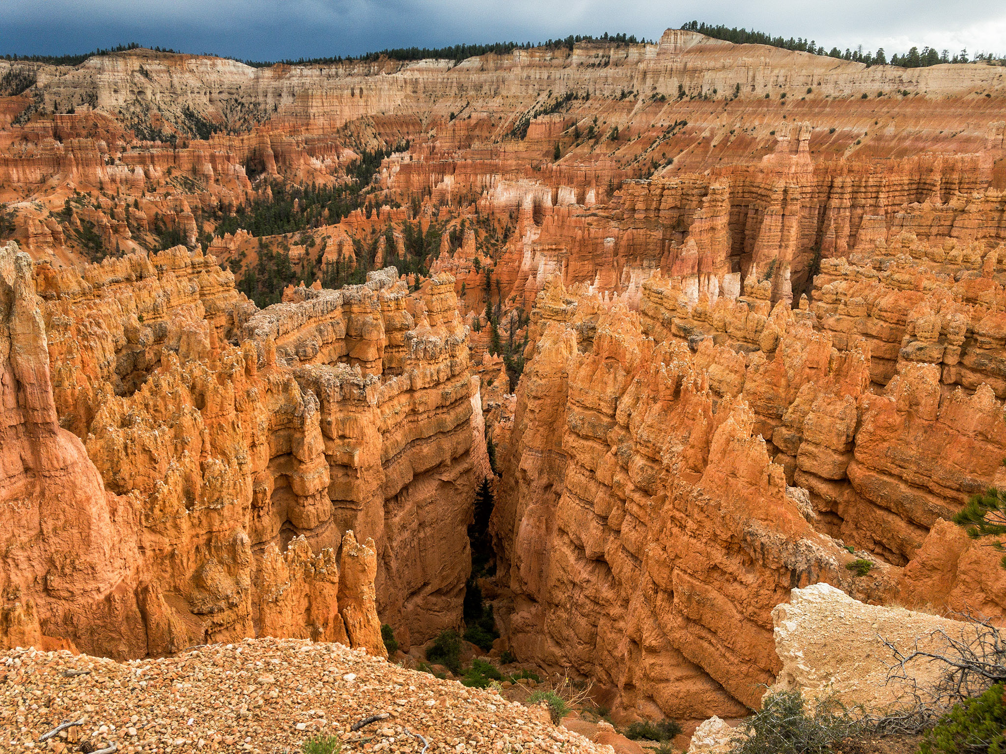 Bryce NP, Utah