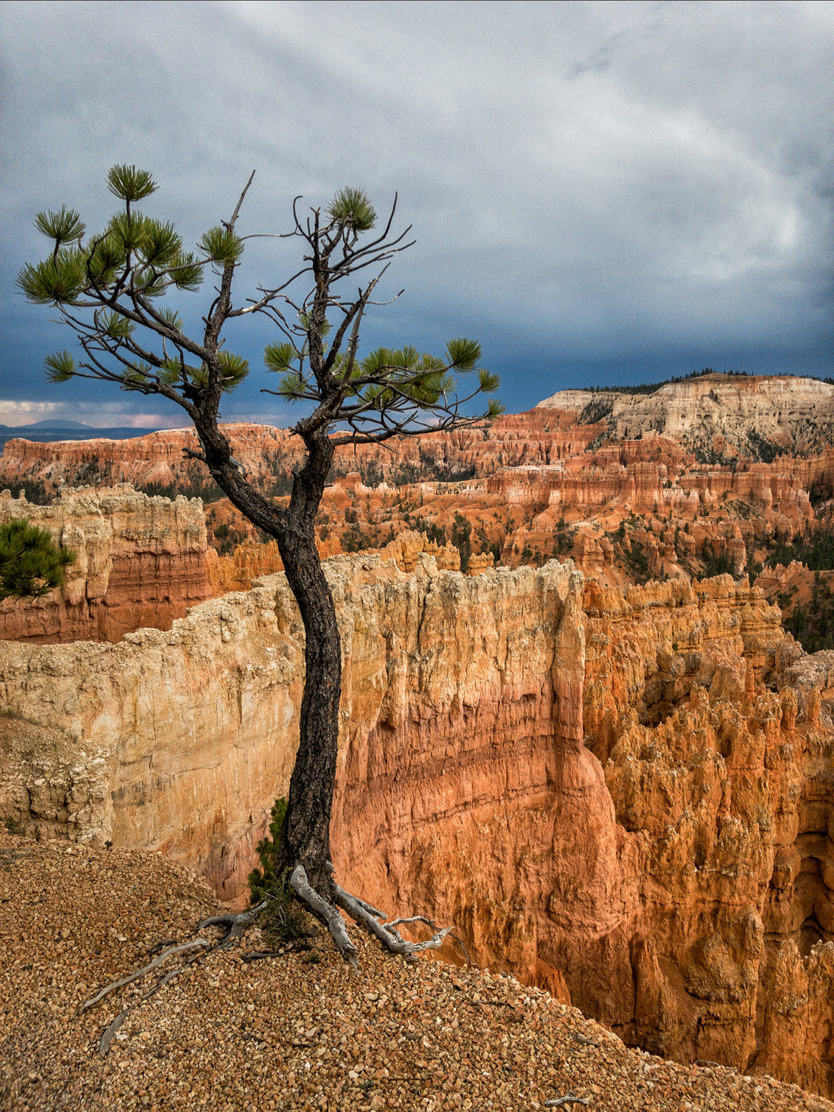 Bryce NP, Utah