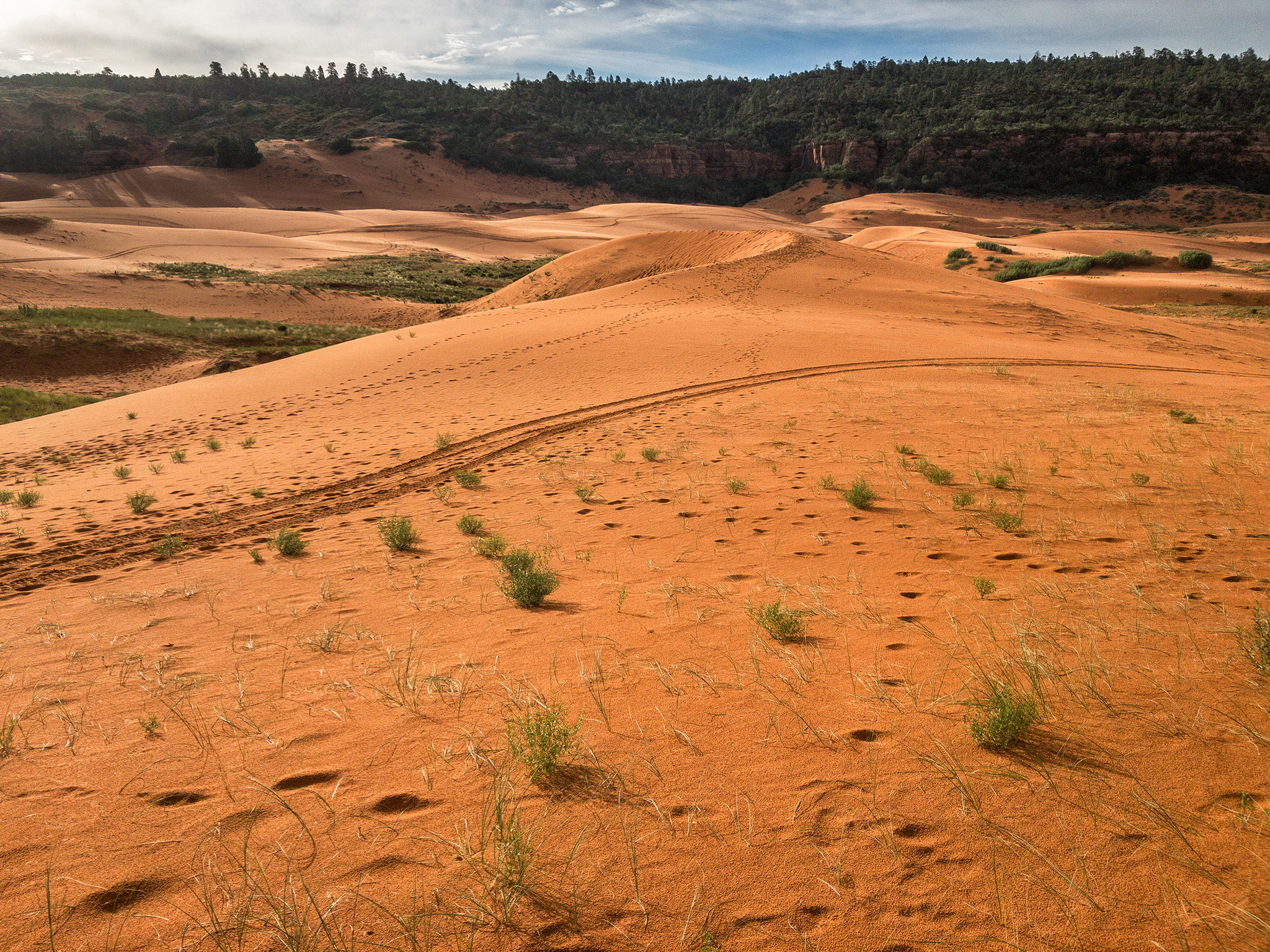 Sand Dunes, Utah