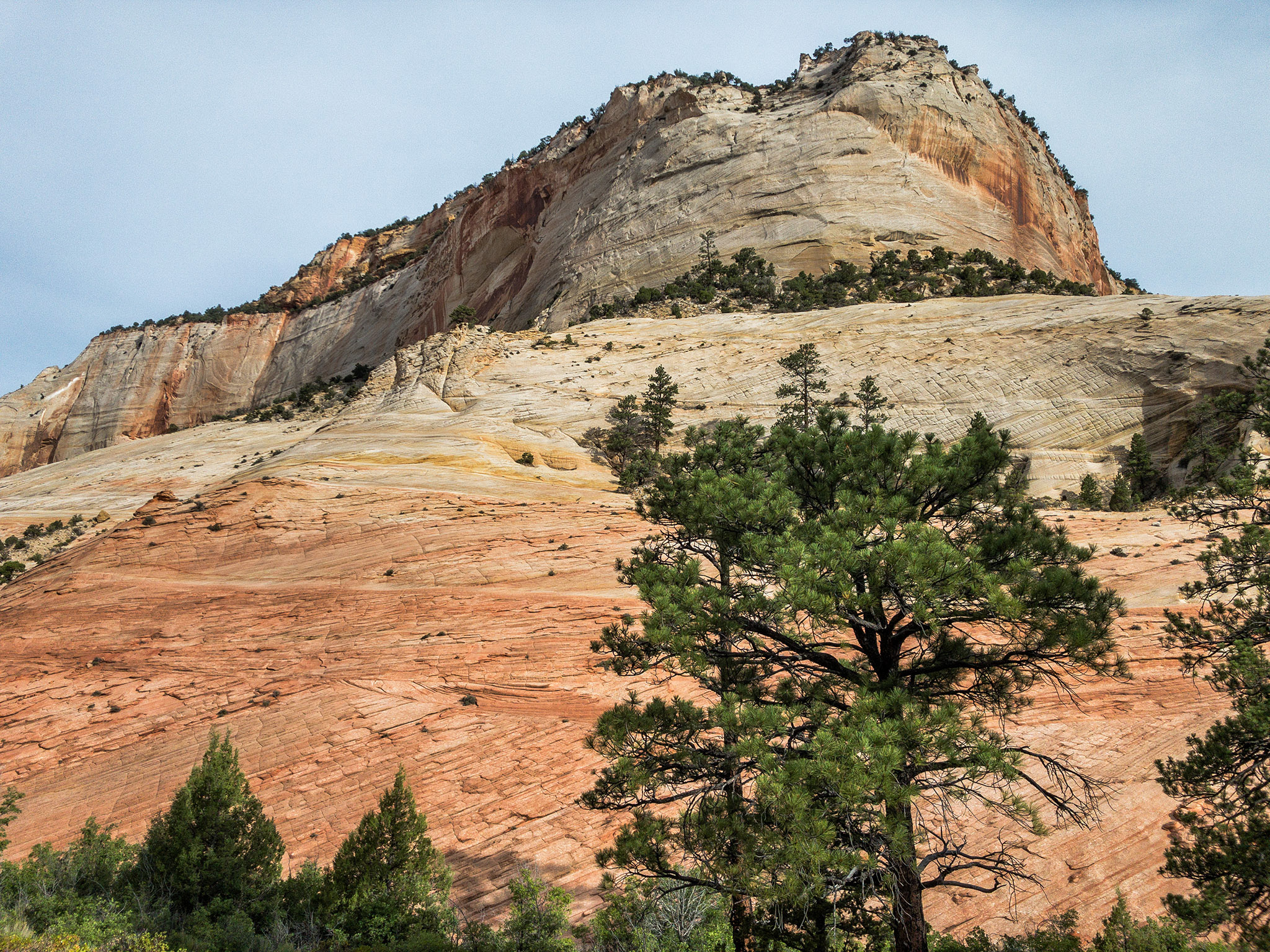 Zion NP, Utah