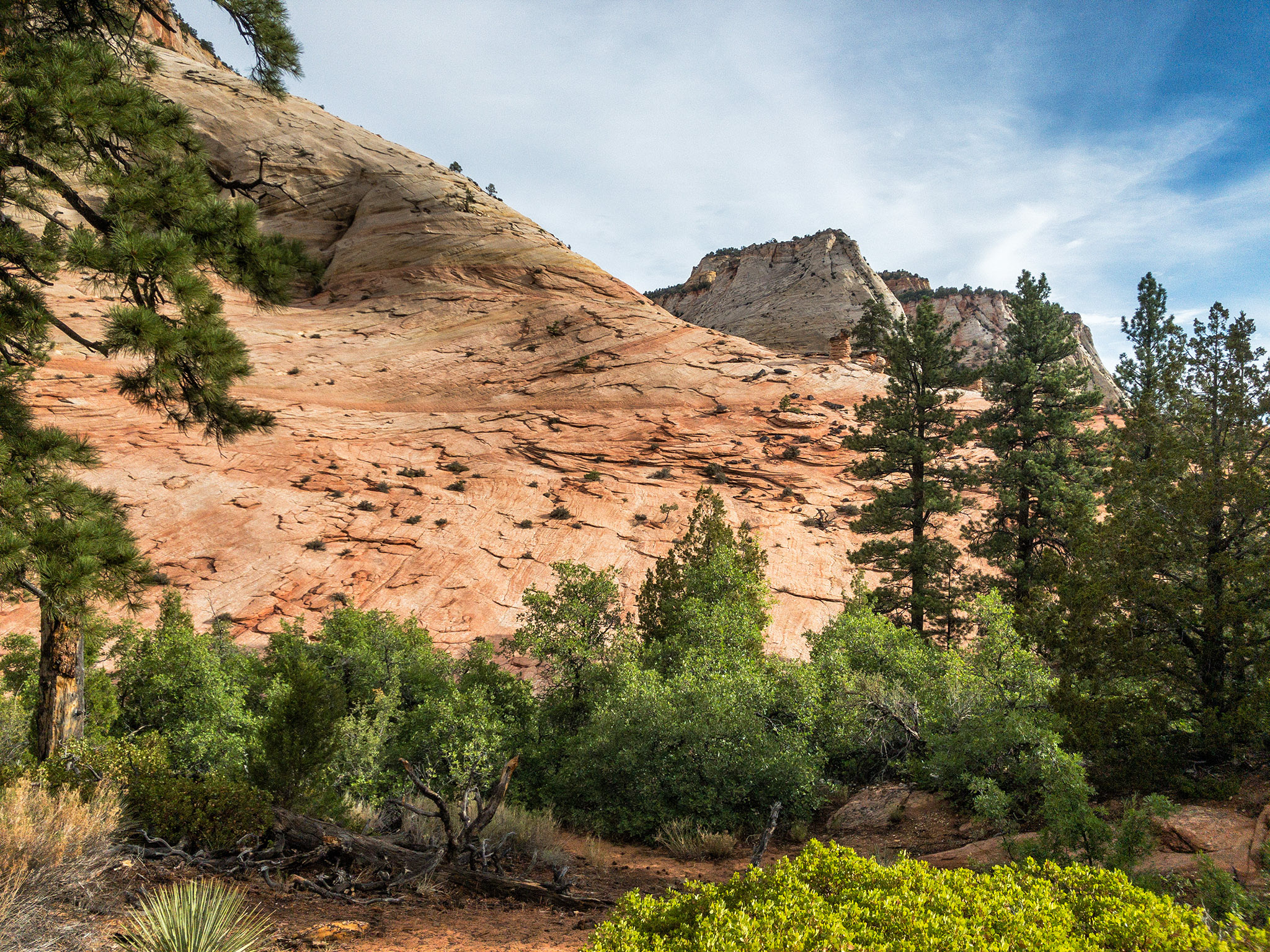 Zion NP, Utah