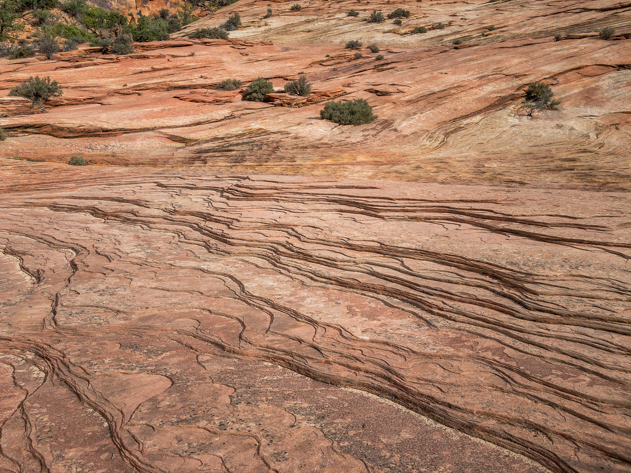 Zion NP, Utah