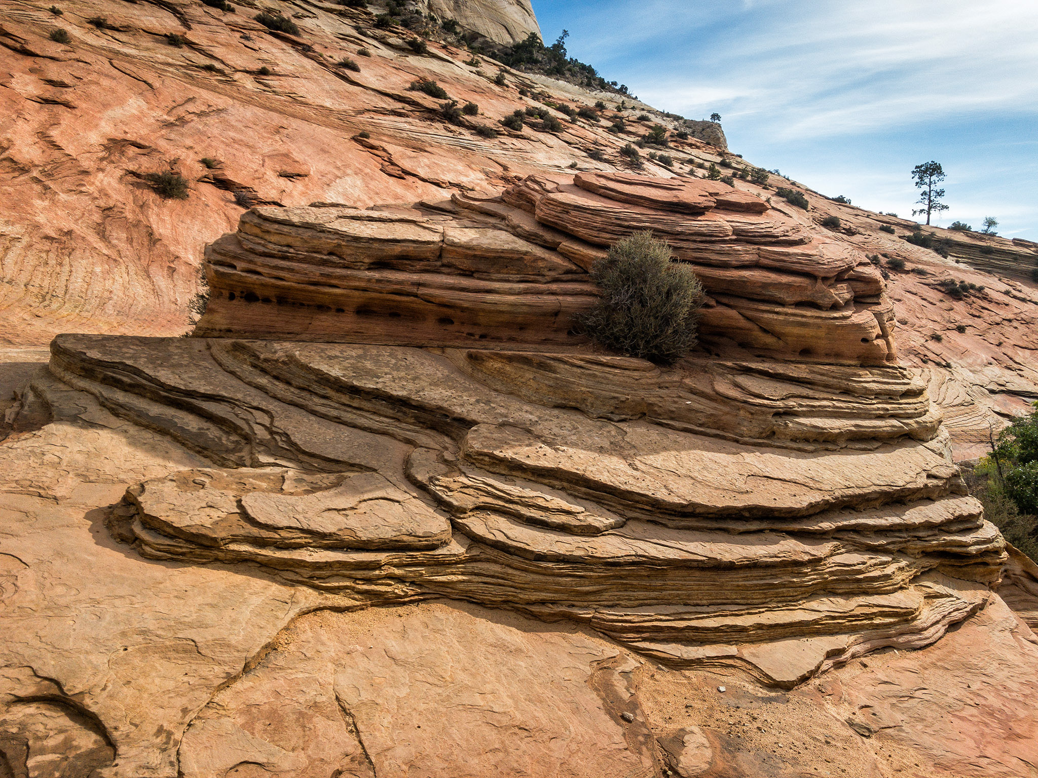 Zion NP, Utah