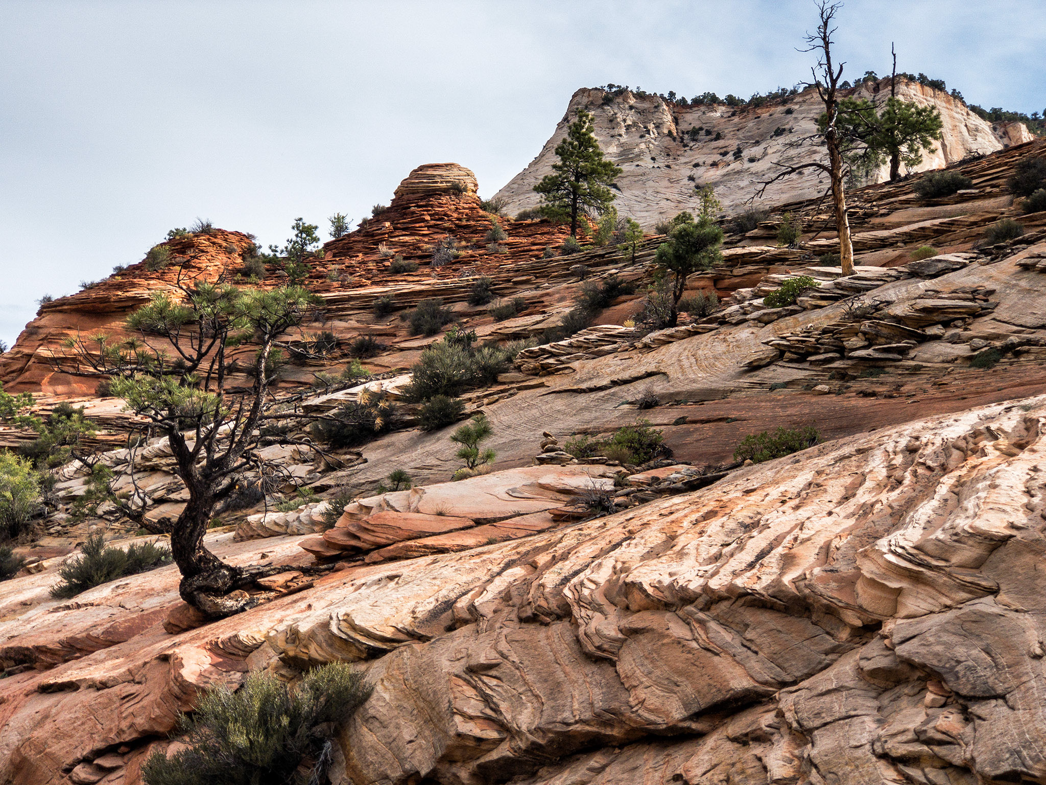 Zion NP, Utah