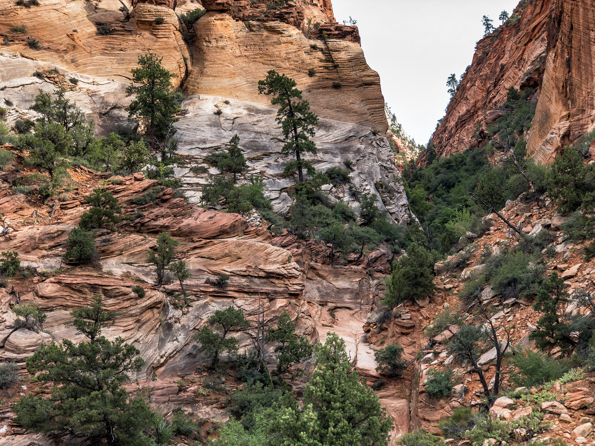 Zion NP, Utah